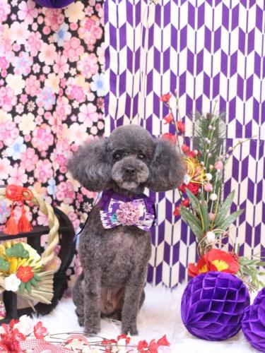 20250116ボーロくん